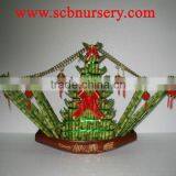 Lucky Bamboo Dracaena Sanderiana Boat thumbnail-1