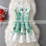 Dream Green Rose Cheery Women Printed A Line Dress/sym Rose Multi Design Sleeveless A Line Dress Skirt