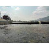 Rubber Dam Bag and Rubber Bladder is Excellent