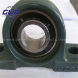Pillow Block Bearing for Car Bearing in China