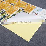 Manufacture Customized Die Cut Small Piece Printed Self Adhesive Stickers for Car Cleaning Shampoo/cleaning Detergent Products thumbnail-4