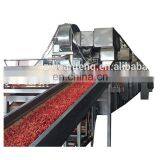 Wholesale Food Processing Equipment Belt Dryer Machine Made in China thumbnail-3