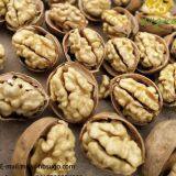 2020 The Best All Type New Crop Walnut Inshell