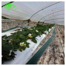Best Sale UV Protection Greenhouse Black/White Plastic Mulch Film thumbnail-2