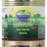 Sour Cherries thumbnail-1