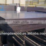 Romania Market Film Faced Plywood