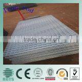 Iron Wires thumbnail-1