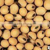 Food Grade Soy Bean Oil thumbnail-4