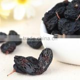 good price dried black raisins dry fruit xinjiang raisin