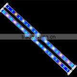 Blue Emiting Color, Low Power Consumption Led Strip Light thumbnail-2
