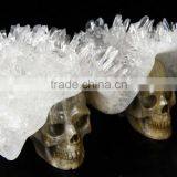 Western New Design Crystal Skull Model for Sale thumbnail-4