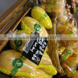 Plastic Displaying Pop Clip for Supermarket Using thumbnail-3