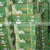 3Ply Carton Box for Fresh Fruit (for Banana, Apple) thumbnail-1