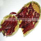 Sweet Paprika Chili thumbnail-1