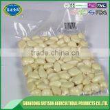 Fresh Garlic Clove thumbnail-3