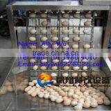 FT-200 Fully Automatic Egg Shell Removing Machine,cooked Rgg Sheeling Machine,boiled Egg Peeling Machine thumbnail-6