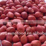 Groundnut Kernels/peanuts Kernels thumbnail-1