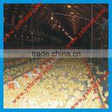 Poultry Feeder Line