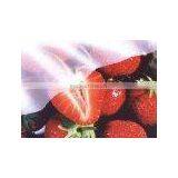 PP NON-WOVEN FABRICS FOR AGRICULTURE thumbnail-1