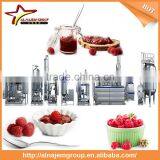 Hot Sale Full Automatic Industrial Raspberry Jam Maker Machine High Viscosity Production Line thumbnail-2