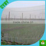 Factory Provide Fruit White Fly Insect Net thumbnail-1