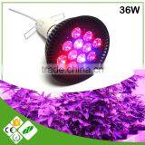 Led Hydroponic 36w Plant Lights Good for Mini Plants Indoor Growing Small Pot Cheapest Led Grow Par Light thumbnail-1