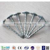 Best Price Smooth Head Screw Shank Nails thumbnail-1