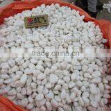 River Stone Natural Pebble Stone thumbnail-6