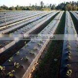 PP Weed Mat With Ground Nail thumbnail-5