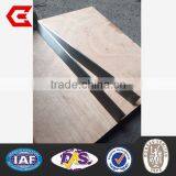 Newest Sale Different Styles Tct Carbide Knife in Stock at Good Price