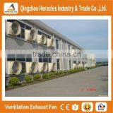 Fiberglass Cone Exhaust Fan for Greenhouse,poultry Farm or Factory thumbnail-4