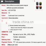 Mini Artificial Succulent Plants Artificial Succulents Tropical Plant Wholesale thumbnail-2