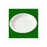 8 Inch Paper Plate thumbnail-2