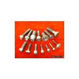 Titanium Screw thumbnail-1