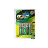 R6P Dry Battery 4B thumbnail-1