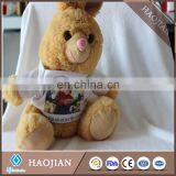 Sublimation Cute Plush Teddy Bear