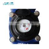 DN300 Pulse Reed Switch Woltman Type LXLC Water Meter thumbnail-5