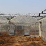 Multi Span PE Film Agricultural Greenhouse thumbnail-4