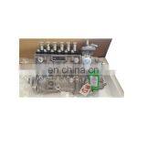 6CT 8.3 Construction Machinery Parts 5260255 5258153 3972878 3973900 Fuel Pump