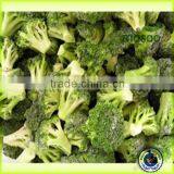 Broccoli, Green Broccoli, Frozen Broccoli, Frozen Broccoli IQF, China Origin, High Quality thumbnail-1