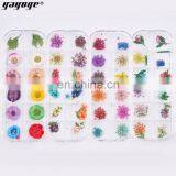 Nai Dry Flower Resin 3D Flower Nail Art
