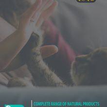 Beijing Youban Youpin Pet Products Co., Ltd company overview - view 1 thumbnail