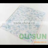 PVC Roof Ceiling With 20cm