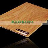 2012 Haining The Newest PVC Wall Cladding