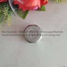 Stainless Steel Cap, Thread, Round or Hexagon Caps 1.4401/1.4408 thumbnail-2