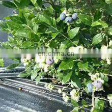 Anti Weed Mat 100% PP Woven Geotextile Weed Control Artificial Ground Cover For Blueberry thumbnail-4