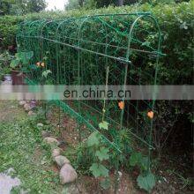 Vegetable Plastic Climbing Netting Vegetable Plants Support Net for Garden thumbnail-5