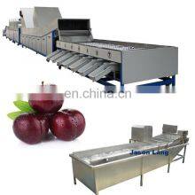 GYJL-2020 Complete Concentrated Black Plum Juice Production Line thumbnail-1