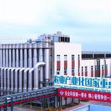 Low Calorie Sweetener Trehalose CAS 6138-23-4 Non-GMO thumbnail-5