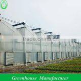 Mini Green House thumbnail-1